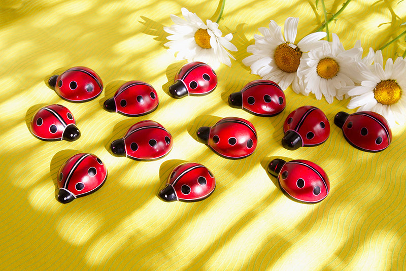 One Dozen Miniature Soapstone Good Luck Lady Bugs