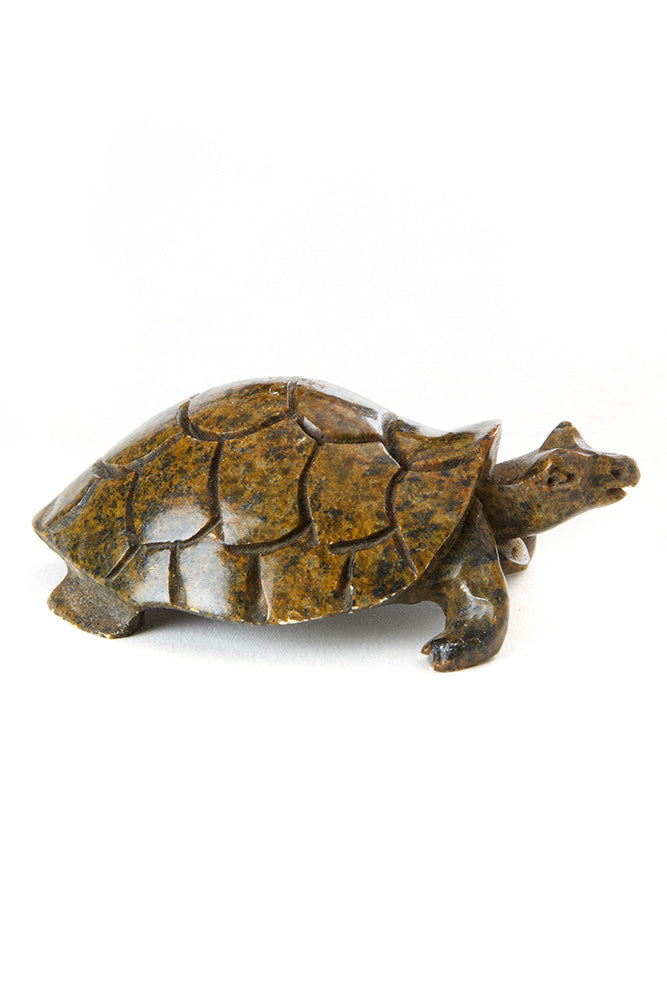 Stone Box Turtle Sculpture from Zimbabwe