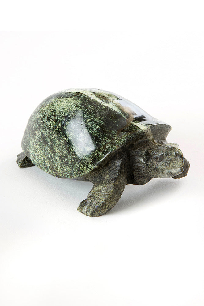 Leopard Stone Softshell Turtle Sculpture from Zimbabwe