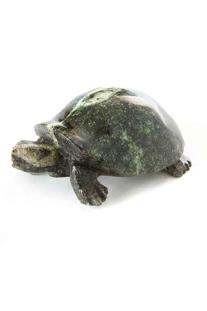 Leopard Stone Softshell Turtle Sculpture from Zimbabwe